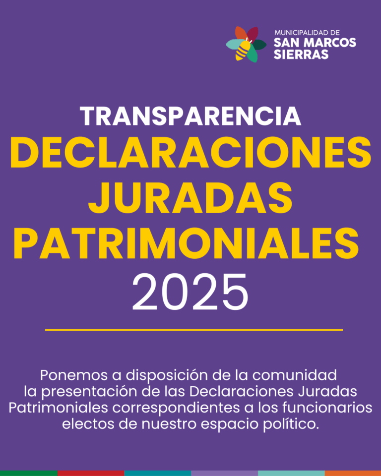 Transparencia  – Declaraciones Juradas Patrimoniales 2025