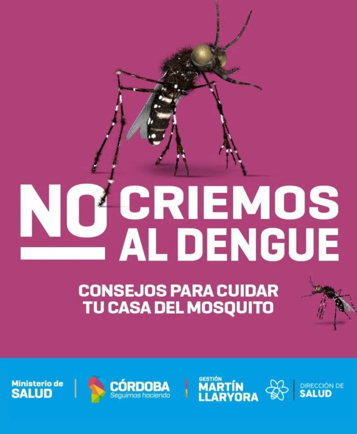 Prevení el Dengue en tu hogar