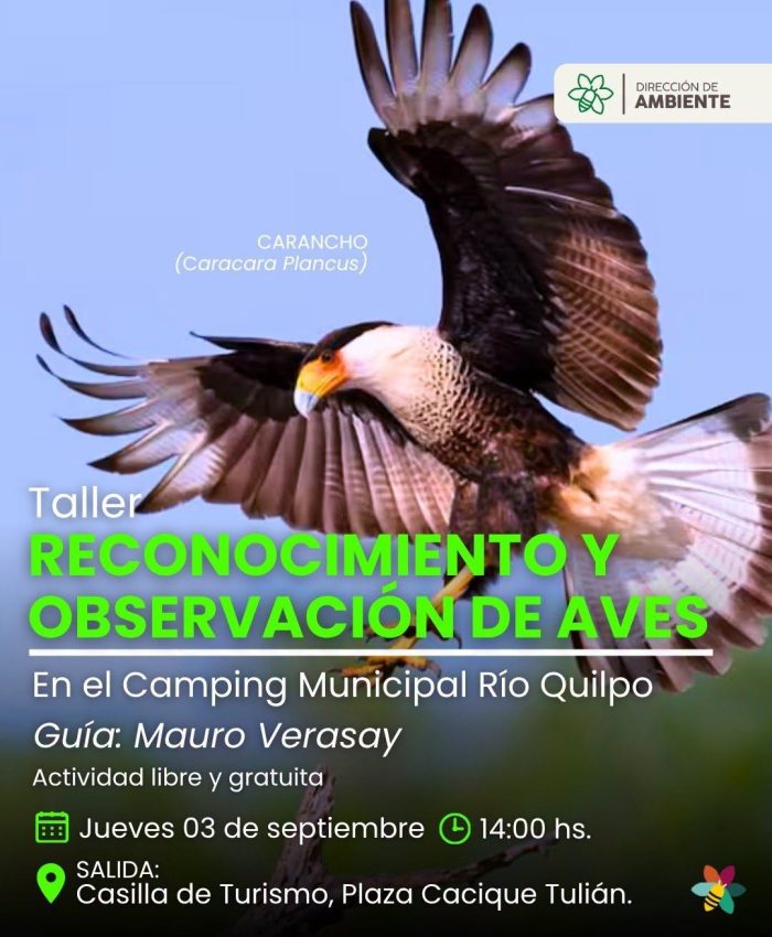 Reconocimiento y Observación de Aves