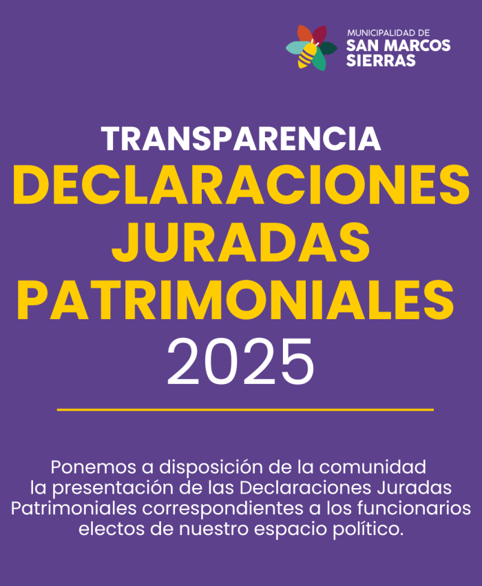 Transparencia  – Declaraciones Juradas Patrimoniales 2025